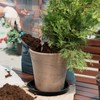 Eccliy 6 Pack Plastic Plant Saucer Heavy Duty Planter Saucers