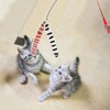 LASOCUHOO Cat Worm Toys, (3 Packs) Interactive Cat Wand Replacement,