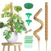 2 Pack 100 cm Moss Stick, Monstera Trellis, Plant Support