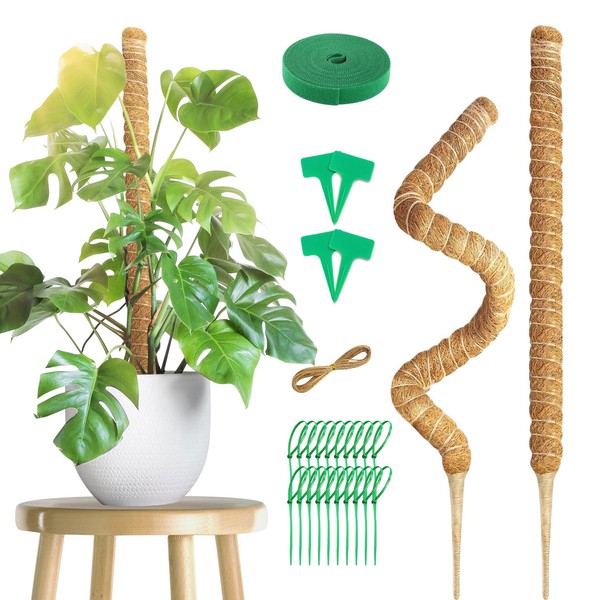 2 Pack 100 cm Moss Stick, Monstera Trellis, Plant Support