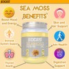 Edges Irish Sea Moss Gel 550ml - 100% Wildcrafted Sea