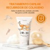 Elizavecca Cer-100 Capilar Collagen Ceramide Treatment 100ml