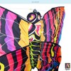 3D Nylon Butterfly Kite with 60" Wingspan (5 ft) by