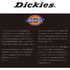 Dickies New Colors! DS054NCS1 Simple Carabiner Keychain Silver and White