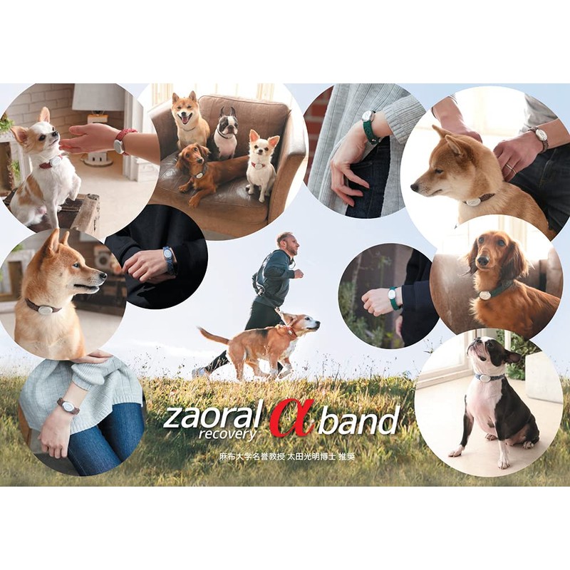 Zaoral Recovery α Band, Green/Silver, Size 19