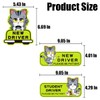 Student Driver Magnet Reflective Sticker, 3 PCS Kitten Pattern Please