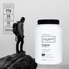 Soylent Complete Nutrition Meal Replacement Protein Powder, Original - Plant
