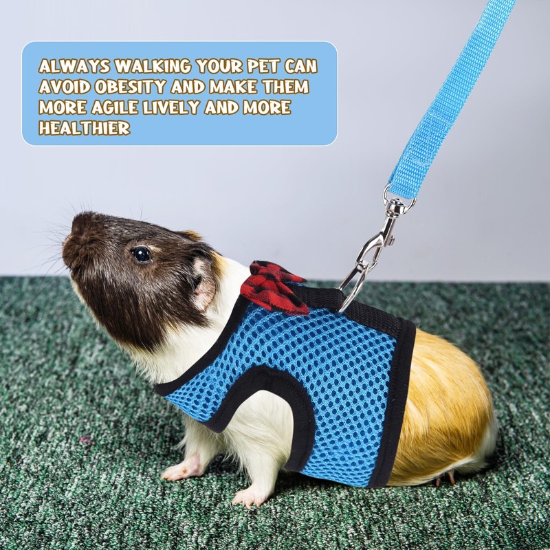 Guinea Pig Harness and Leash, Guinea Pigs Harness, Guinea Pig