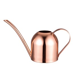 IMEEA Small Watering Can for Indoor Plants Stainless Steel Indoor Watering Can with Long Spout, 15oz/450ml