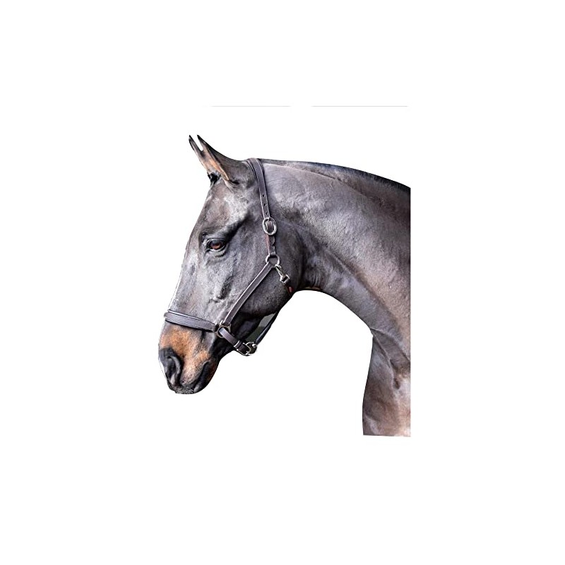 John Whitaker Ready to Ride Headcollar Brown Full