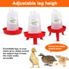 ZenxyHoC Chick Feeder and Waterer Set, 0.3 Gal Feeder and