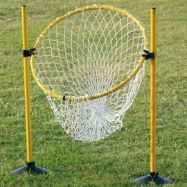 Dawoori Flying Disc Goal Net for Sports Day & Frisbee Throwing Medium
