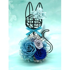 花冠seina Preserved Flower White/Black Cat Flower Gift Present Made in Japan Cat Wire (Blue/Black)