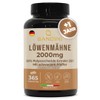 Bandini® Lions Mane Mushroom - Löwenmähne Pilz (25:1-Extrakt) - 365