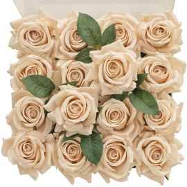 TINGE TIME 16PCS Artificial Flowers Rose Box, Beige Silk Flowers Bulk w/Stem, Fake Rose Real Touch Silk Flowers for DIY Wedding Bouquet Centerpiece Party Home Decorations