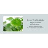 Purito Seoul Wonder Releaf Centella Toner Todo Tipo De Piel