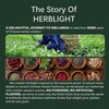 HerbLight 15 Night Calming Time Tea Bags, Sleep Tea For