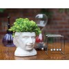 The Unemployed Philosophers Guild Albert Einstein Bust Ceramic Planter