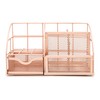 EXERZ Table Organiser/Desk Organiser/Desk Tidy/Pen Holder/Multifunctional Organiser (Rose Gold)
