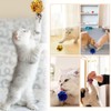 Cutiolly Crinkle Ball for Cats, 20 Cat Toy Balls, Colourful