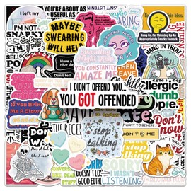 50 Packs Snarky MEME Stickers Water Bottles Laptop Phone Motorcycle Computer Guitar Skateboard Hydroflasks Sarcastic Vinyl Sticker Waterproof Aesthetic Trendy Decals for Teens Girls Adults
