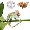 SEZDEKI Bearded Dragon Feeder Toy - Reptile Foraging Ball Lizard