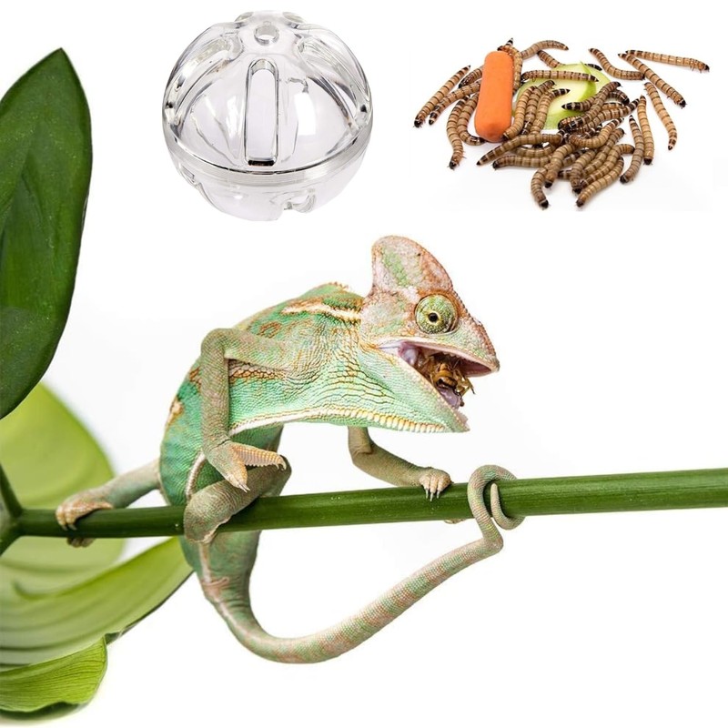 SEZDEKI Bearded Dragon Feeder Toy - Reptile Foraging Ball Lizard