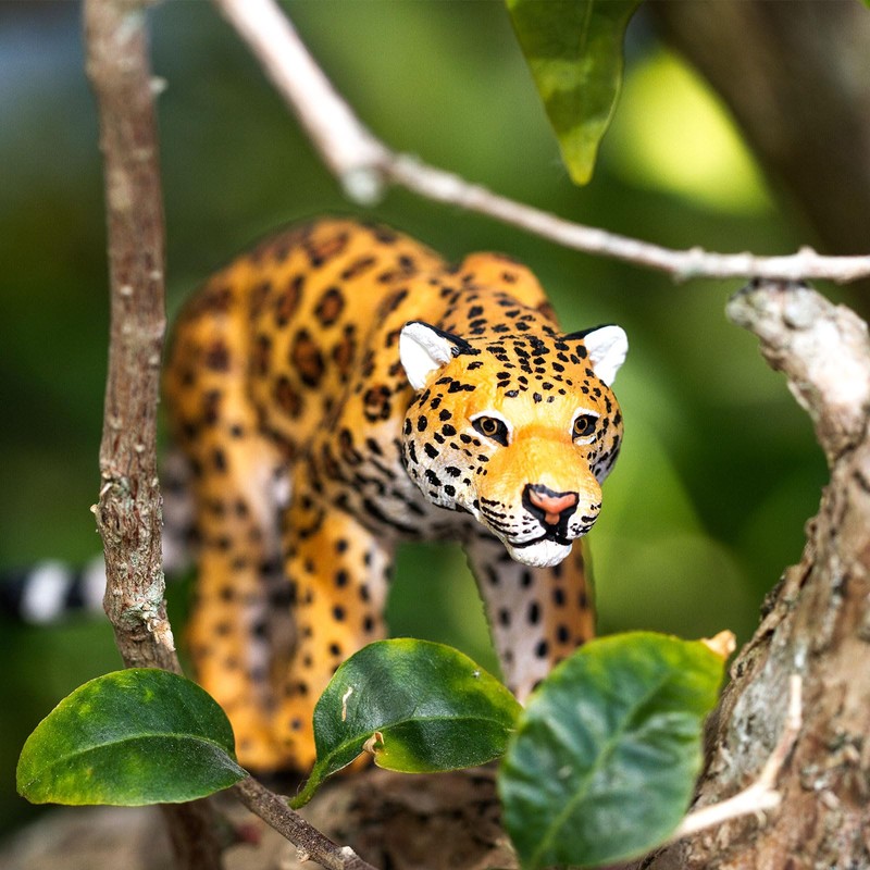 Safari Jaguar
