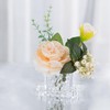 200,000 Clear Beads for Vases, Transparent Vase Filler, Christmas Decoration,