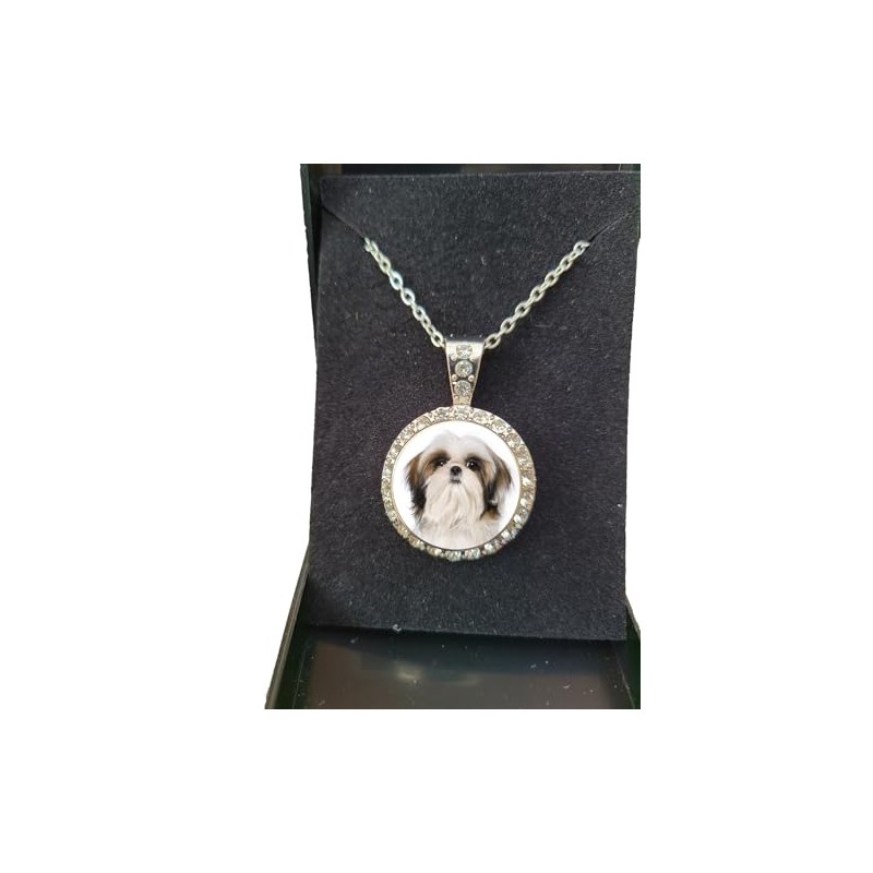 PJ4U Shih Tzu Dog Pet Family Silver Colour Necklace With