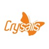 Crysalis Crysalis Wormwood (Artemisia Absinthium L) Oil - 1.69 Fl