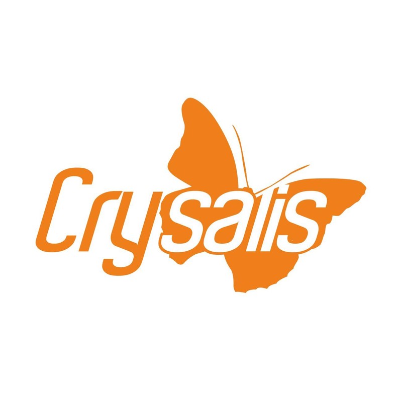 Crysalis Crysalis Wormwood (Artemisia Absinthium L) Oil - 1.69 Fl
