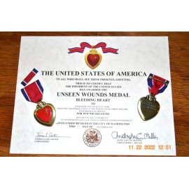 The Unseen Wounds Medal, Certificate Agent Orange PTSD training accident Lejeune