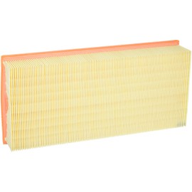Coopersfiaam Filters PA7689 Air Filter