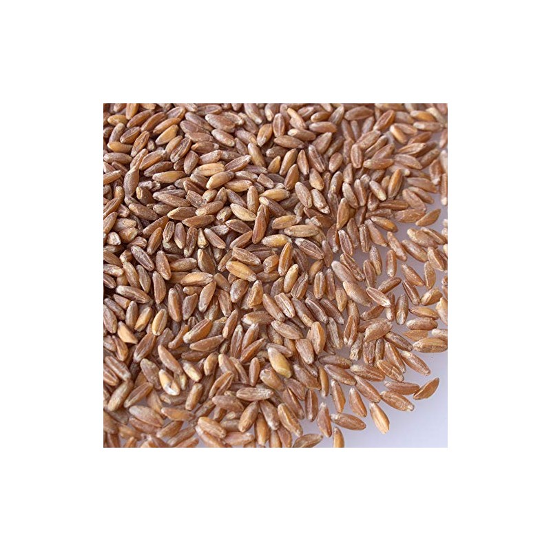 Organic Pearled Emmer Wheat - AKA: True Farro - 1