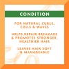 Cantu Leave In Conditioner with Shea Butter 12oz Pack of