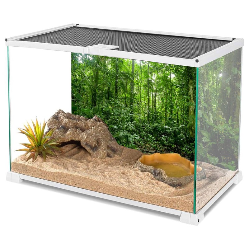 AWERT 24x16 inches Terrarium Background Tropical Aquarium Background Green Huge