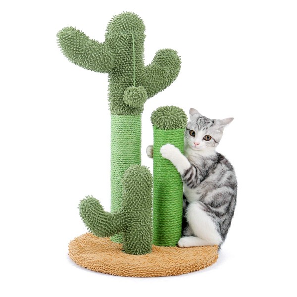 PAWZ Road Cat Scratching Post Cactus Cat Scratcher Featuring with