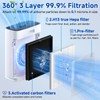 2 Pack HAP603 Replacement Filter Compatible with ECOSELF HAP603 /