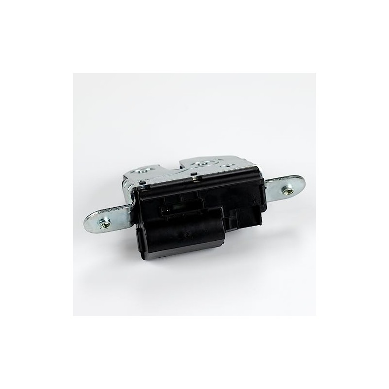 55702917 Tailgate Lock