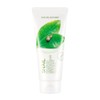 Nature Republic Fresh Herb Snail Cleansing Foam / 프레시 허브 스네일 클렌징 폼