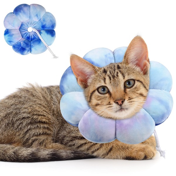 Dog Cat Surgical Recovery Cone Dog Protective Collar, Pet Recovery