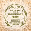 Lundberg Thin Brown Rice Cakes Variety 3-Pack – Regenerative Organic