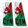 Domed CYM Wales Flag Vehicle Number Plate Stickers - 39mm