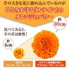 【公式】わかさ生活 ルテイン α 31粒入り（1か月分） 1日1粒 ナノルテイン 吸収量約1.5倍 ゼアキサンチン 亜鉛 トコトリエノール