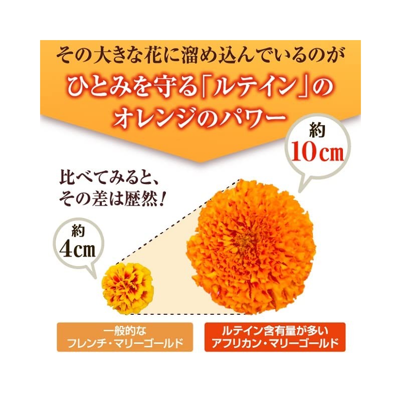 【公式】わかさ生活 ルテイン α 31粒入り（1か月分） 1日1粒 ナノルテイン 吸収量約1.5倍 ゼアキサンチン 亜鉛 トコトリエノール