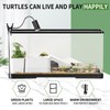 (Tank + Light + Filter Balls) Turtle Tank Kit, Turtle