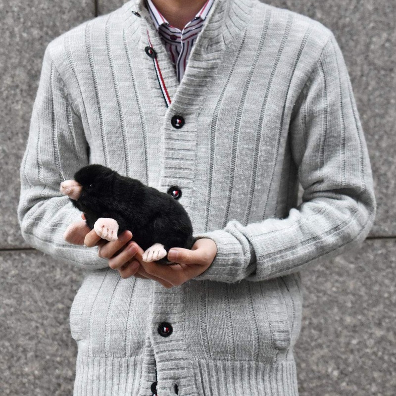 Mole 22Cm