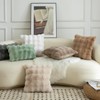 Mandioo Pack of 2 Thick Plush Wool Decorative Throw Pillow
