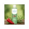 Shampoo Sheló Nabel Chile Y Romero 530 Ml | Estimula